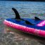 paddleboard iBOARD 11' - 15 DOG
