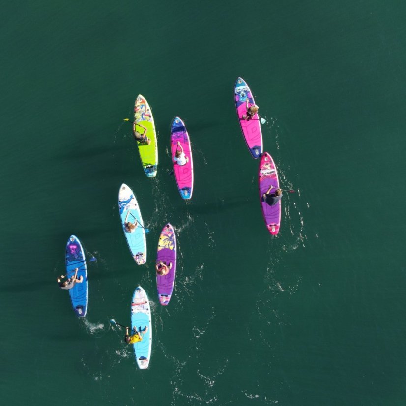 paddleboard iBOARD 11' - 15 DOG