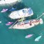paddleboard iBOARD 11' - 15 DOG