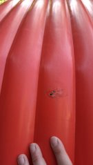 Kanoe PALAVA 2 Gumotex BAZAR