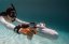 motor SUP AQUA MARINA BlueDrive X PRO Double Battery